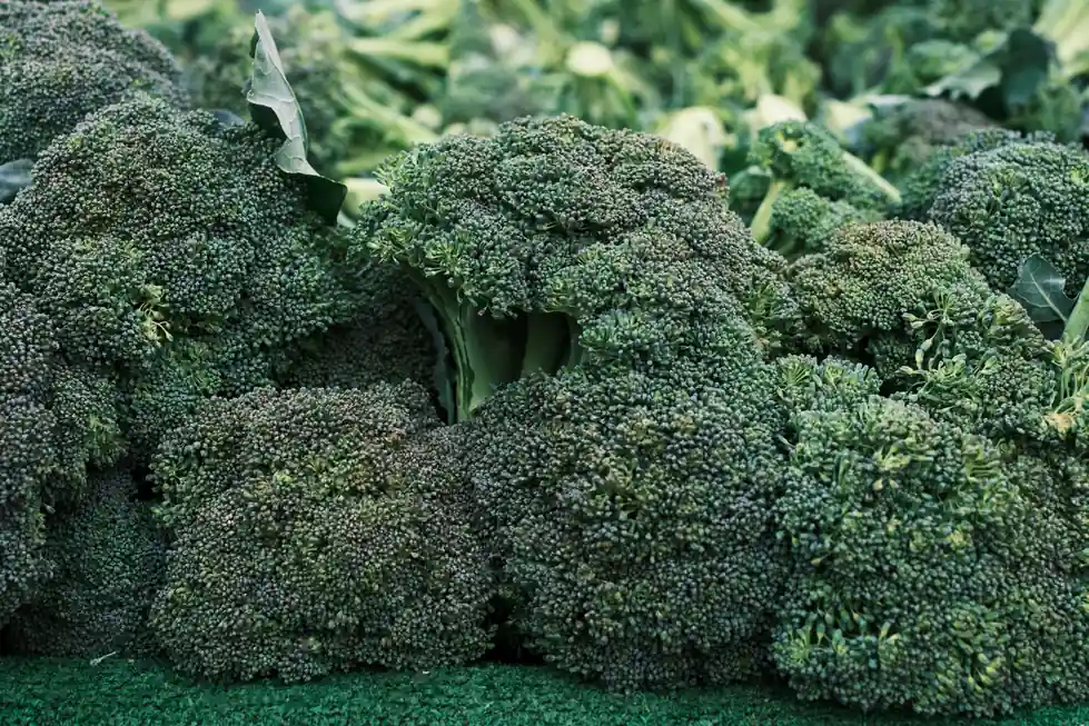 Broccoli Italiano