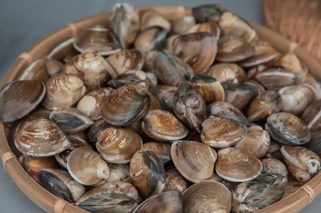 Dick and Red's Bacon Clam Dip