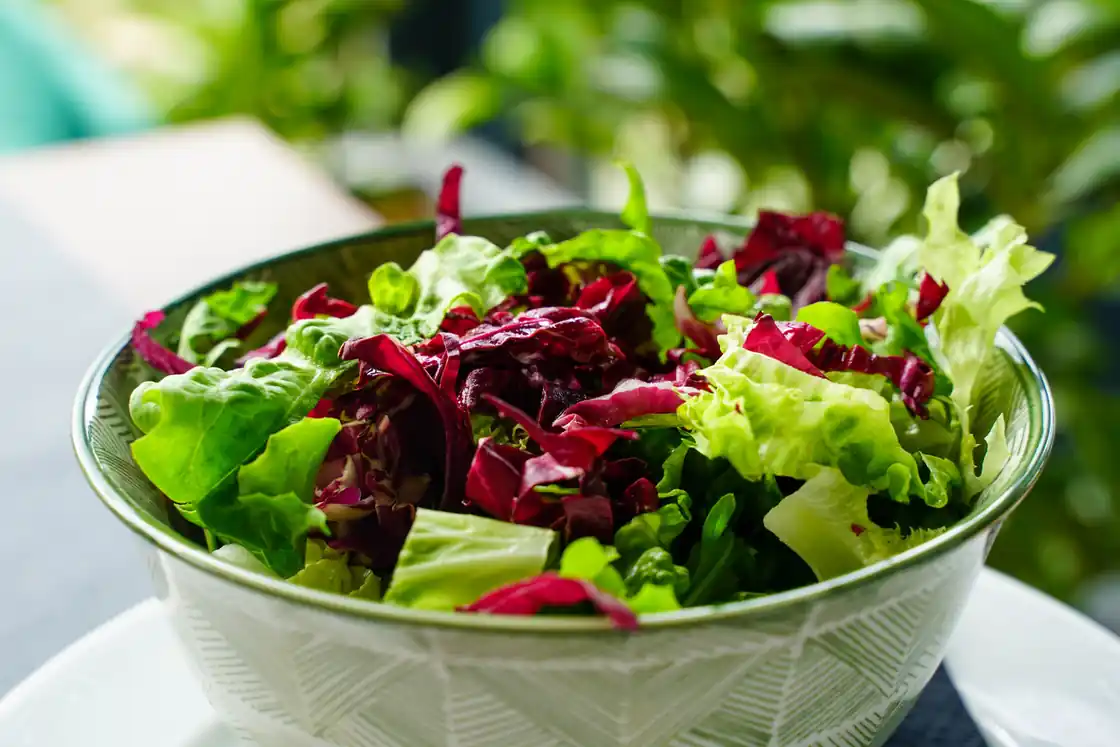 Karen's Spring Mix Salad