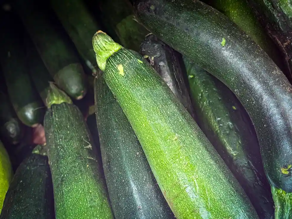Nat's Shrimp and Veggie Stuffed Zucchini