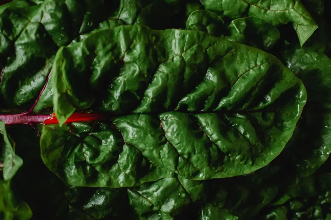 Pan Fried Swiss Chard
