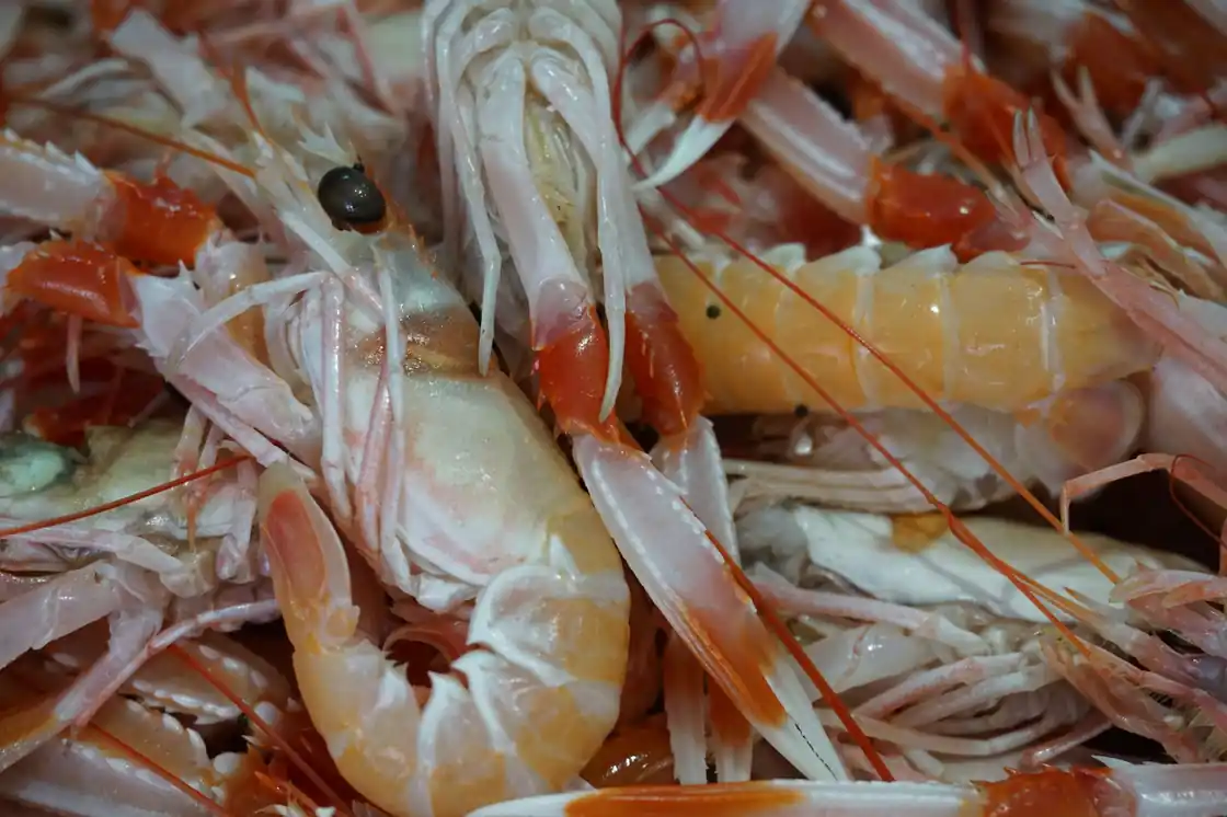 Sexy Shrimp Scampi