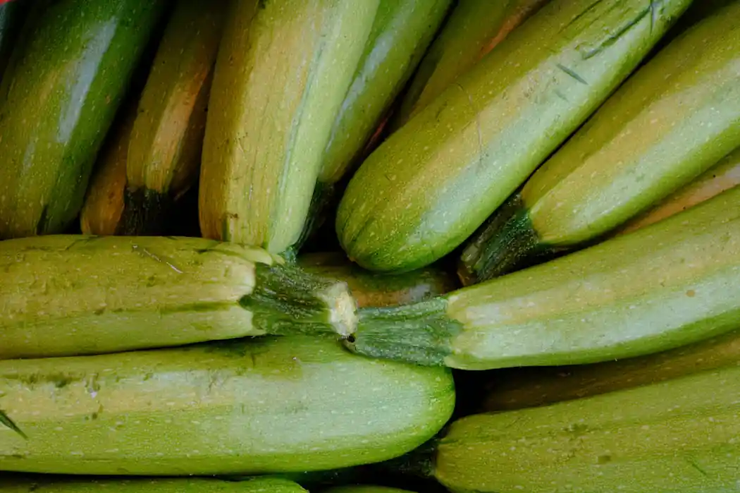 Summer Squash Bundles