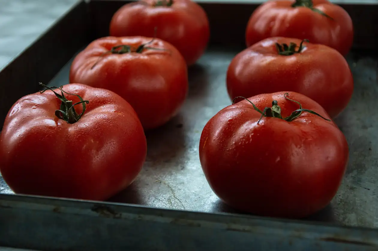 Vera Cruz Tomatoes